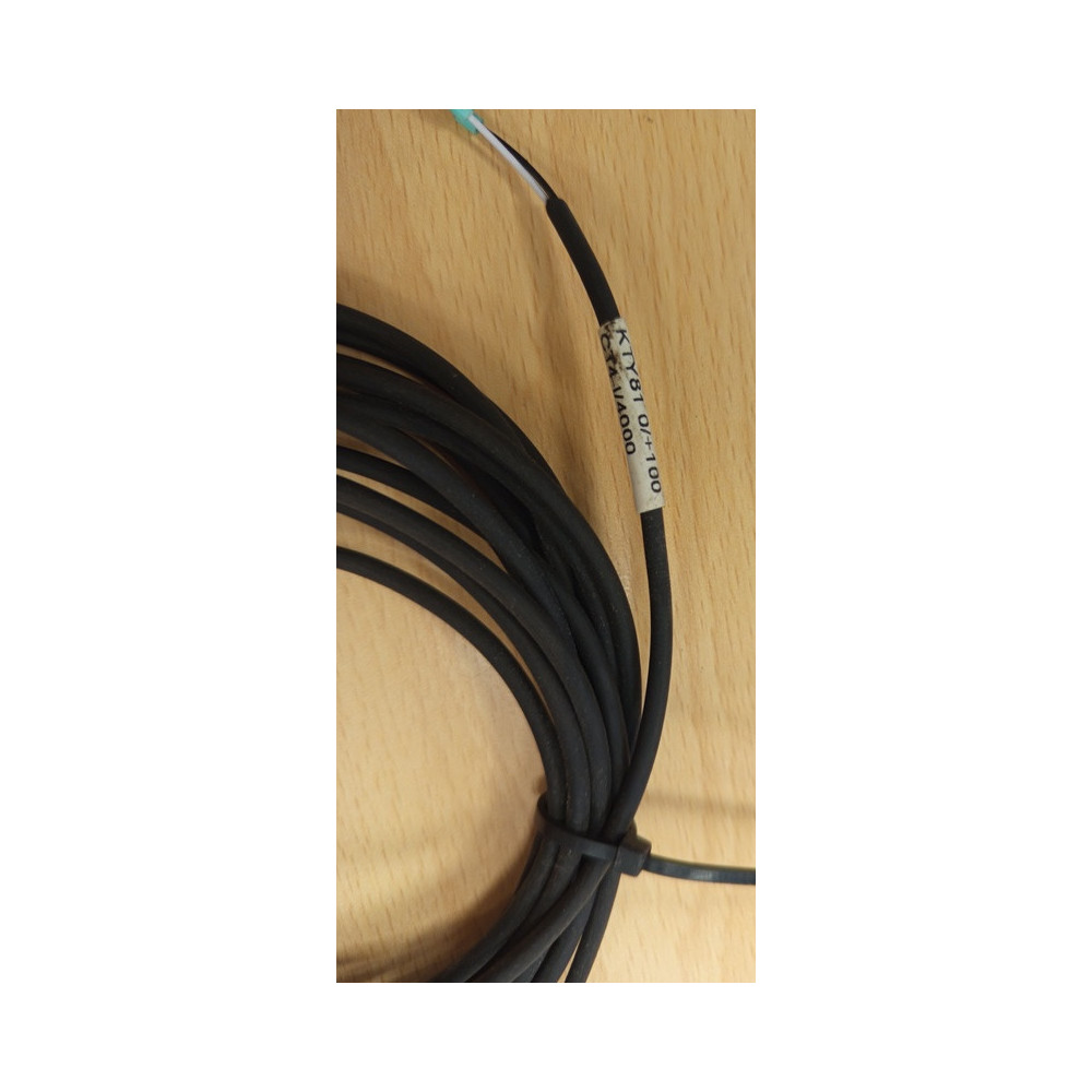 Czujnik CT4 KTY81 - l/4000