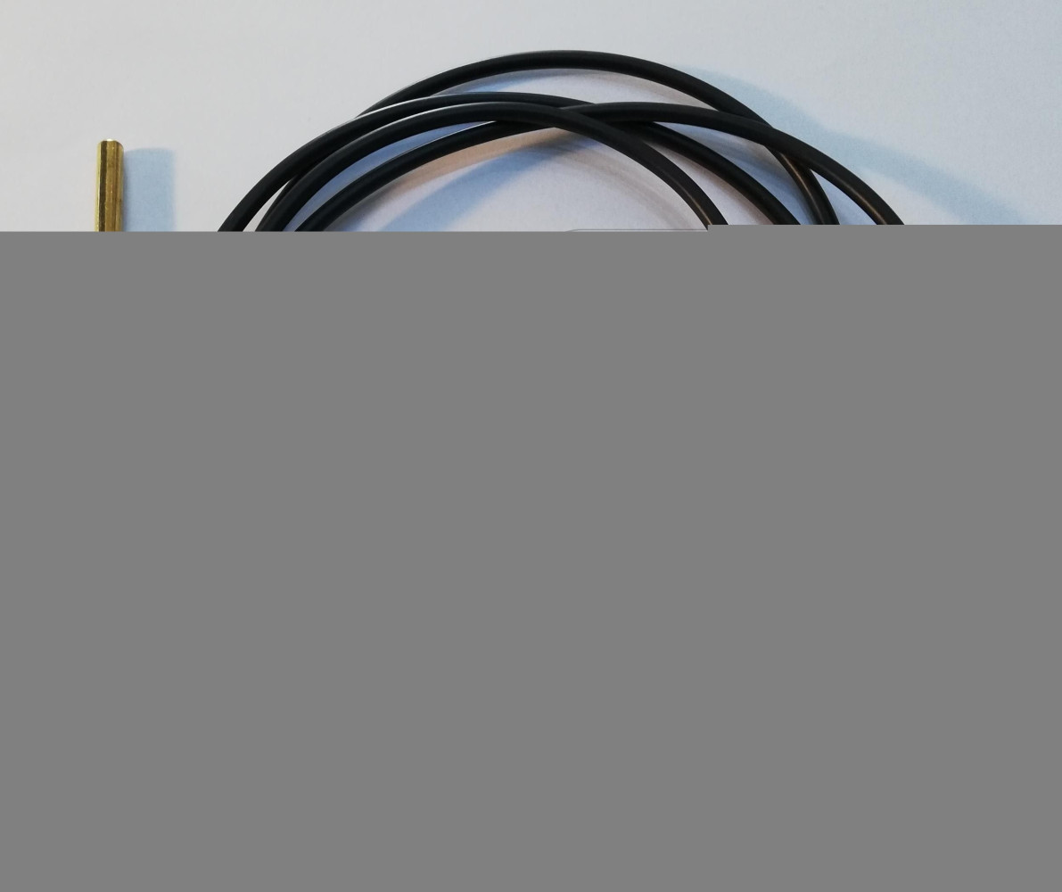 Czujnik CT4 KTY81 - 1 m PLUM