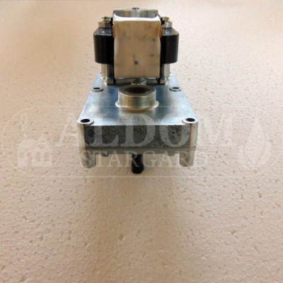 Edilkamin Urlich  motoreduktor 2,0RPM.