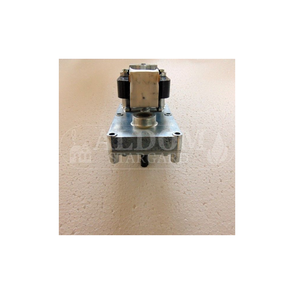 Edilkamin motoreduktor 2,0RPM.